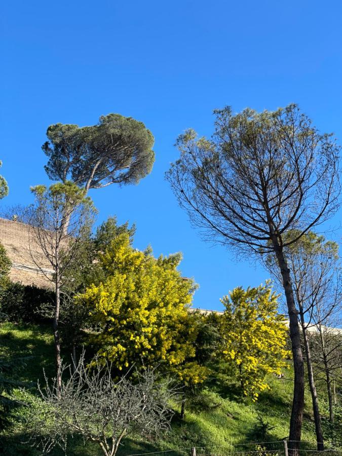 Vatican Green Holidays House 罗马 外观 照片